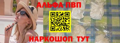 стаф Кингисепп