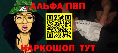 стаф Кингисепп