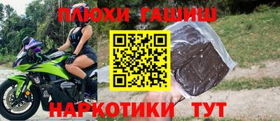стаф Кингисепп