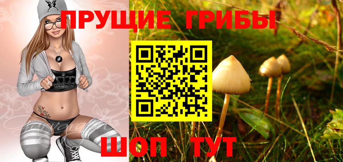 Псилоцибиновые грибы Cubensis Кирово-Чепецк